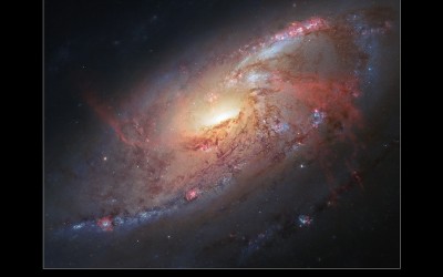 In volo con le stelle