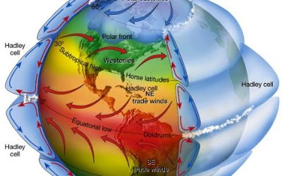 La Forza di Coriolis